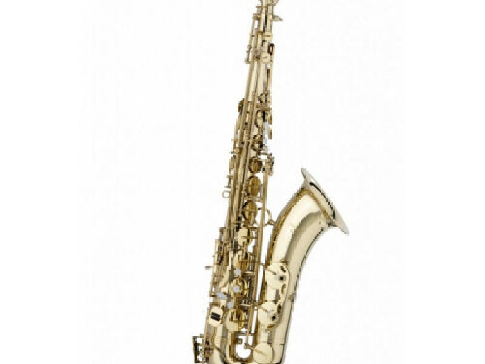 Stagg WS-TS215S - Saxophone tenor en Sib, avec étui souple