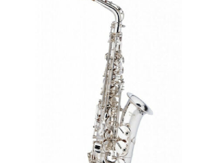 Stagg WS-AS211S - Saxophone alto en Mib, avec étui en souple