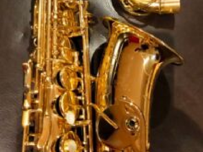 saxophone alto selmer série 2