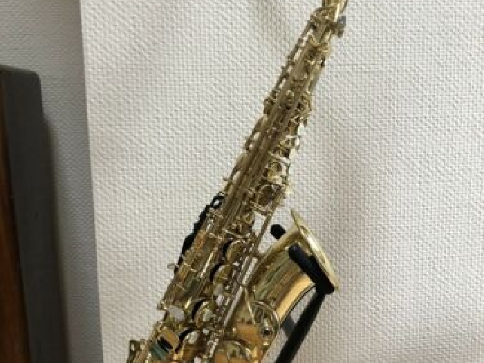 Saxophone Selmer Alto Série III